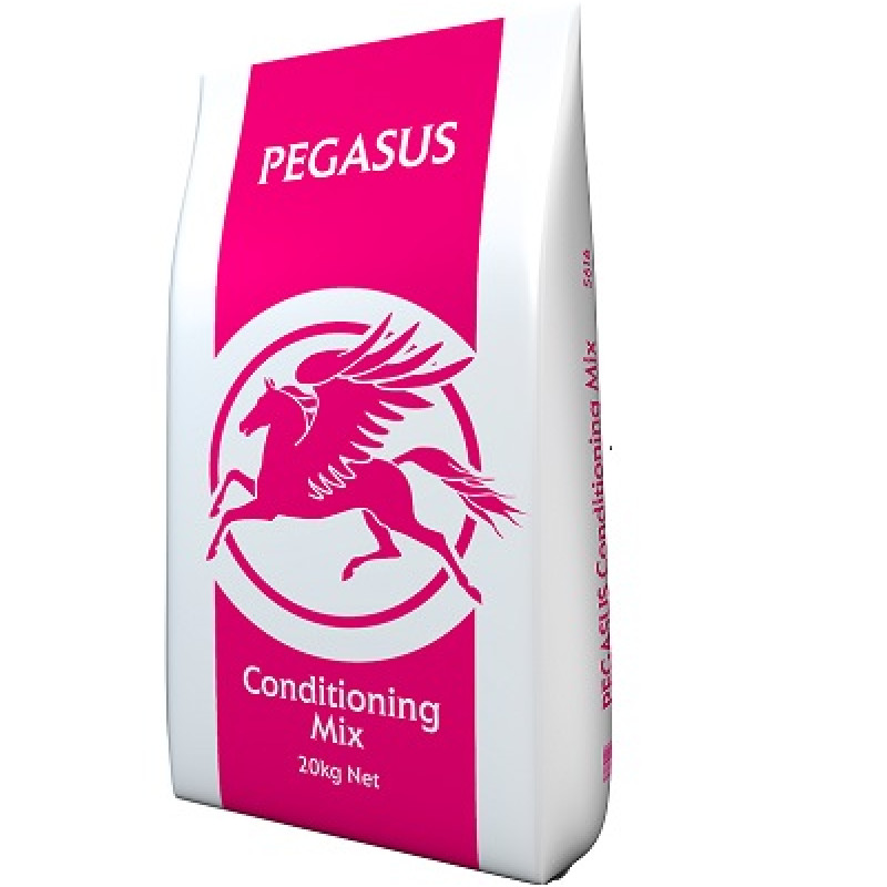 Pegasus Conditioning...
