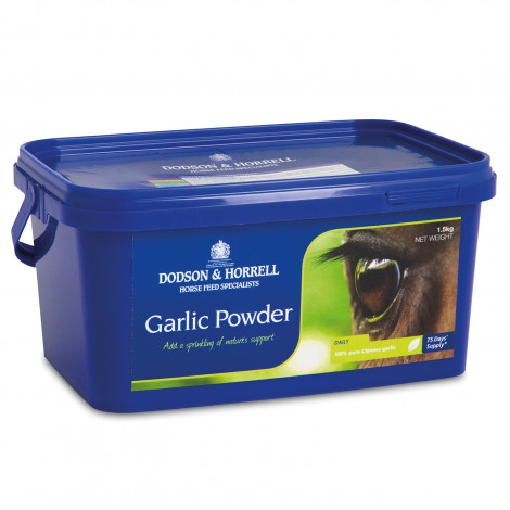 D&H Garlic Powder