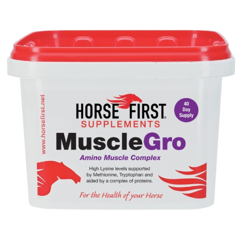 Horse First MuscleGr...