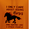 I Only Care About Riding... Hoodie