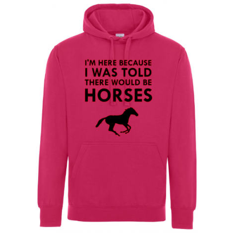 I Was Told That There Would be Horses... Hoodie