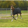 Rhinegold Konig Small Pony Foal Outdoor Rug