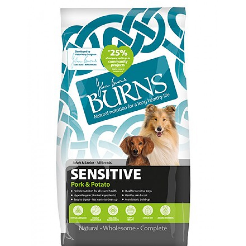 Burns Sensitive Dog ...