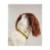 Joules Coastal Dog Collar