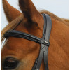 English Leather Comfort Bridle With Cavesson Noseband