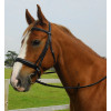 English Leather Comfort Bridle With Cavesson Noseband