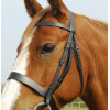 English Leather Hunter Bridle With Wide Cavesson Noseband