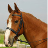 English Leather Hunter Bridle With Wide Cavesson Noseband